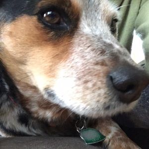 Meet your Posher, Caitlin